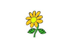 葵花简笔画
