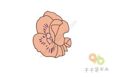 花香阵阵的蝴蝶花简笔画