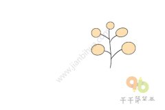芳香阵阵的小野花简笔画