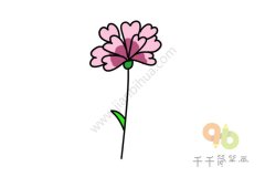 风中的三色堇简笔画