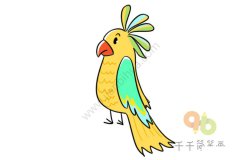 旅行的鹦鹉简笔画 收藏起来