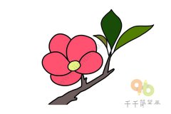 海棠花简笔画教程