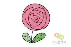 粉色玫瑰花简笔画