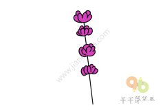 风中的薰衣草简笔画