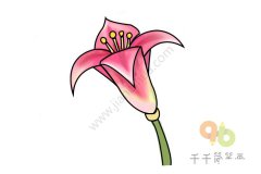 百合简笔画