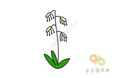 清丽脱俗的铃兰花简笔画