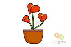 骄阳红掌简笔画图片