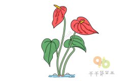 红掌简笔画