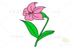 百合花简笔画教程