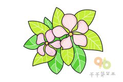 漂亮的长春花简笔画
