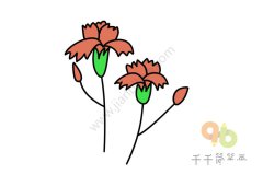 漂亮的康乃馨简笔画