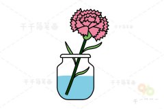 漂亮的康乃馨简笔画图片