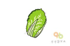绿色蔬菜 白菜简笔画