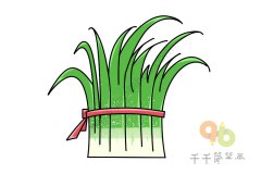 绿色蔬菜 韭菜简笔画