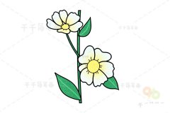 花朵简笔画 春菊的画法