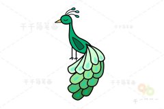 教你画孔雀简笔画图片