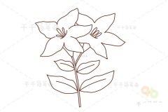 美人蕉简笔画