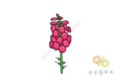 花朵简笔画 鲁冰花画法
