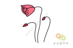 红色虞美人简笔画