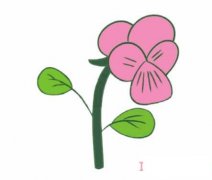 三色堇的画法步骤图带颜色 三色堇简笔画图片