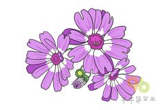 花朵简笔画大全 让孩子轻松认识各种花卉