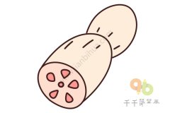 莲藕简笔画图片教程