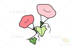 绽放的喇叭花简笔画