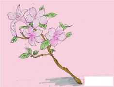 教你一步一步绘画杜鹃花简笔画涂色简单漂亮