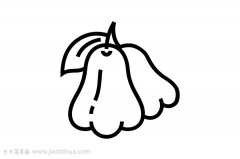 莲雾简笔画画法
