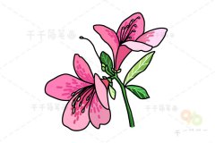 缤纷的春鹃花简笔画