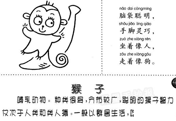 卡通猴子简笔画