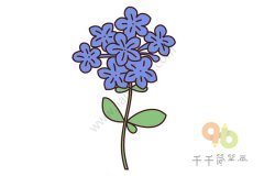 蓝雪花简笔画怎么画