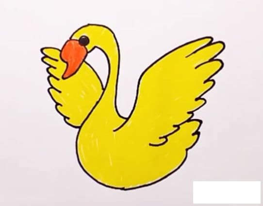 天鹅简笔画图解步骤