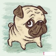 卡通动物简笔画图片，斗牛犬简笔画