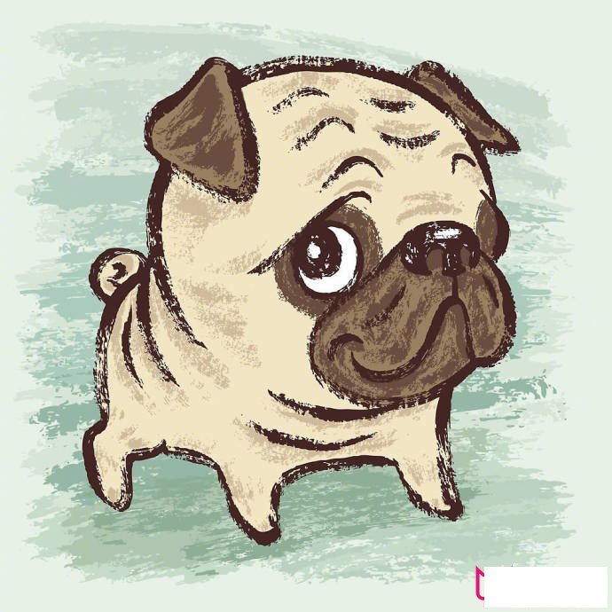 卡通动物简笔画图片，斗牛犬简笔画
