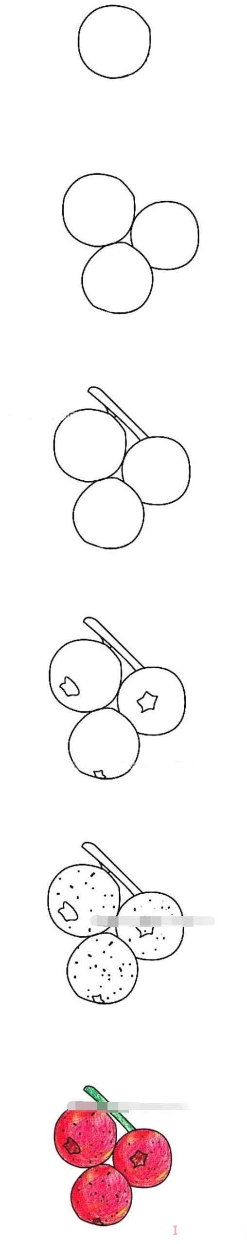 教你一步一步画山楂简笔画涂色简单漂亮