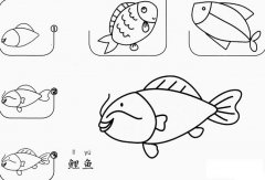 鲤鱼怎么画简笔画