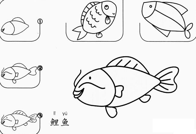 鲤鱼怎么画简笔画