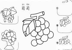 葡萄怎么画简笔画