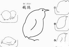 鹌鹑怎么画简笔画图片