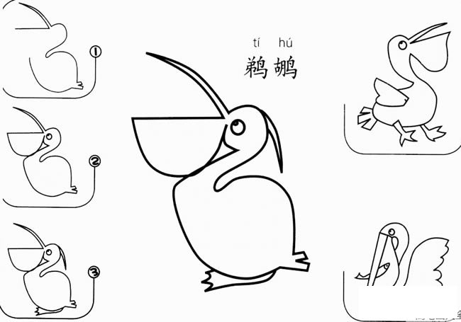 怎样教孩子画鹈鹕 鹈鹕怎么画简笔画步骤图