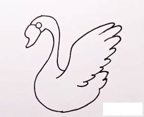 天鹅简笔画图解步骤