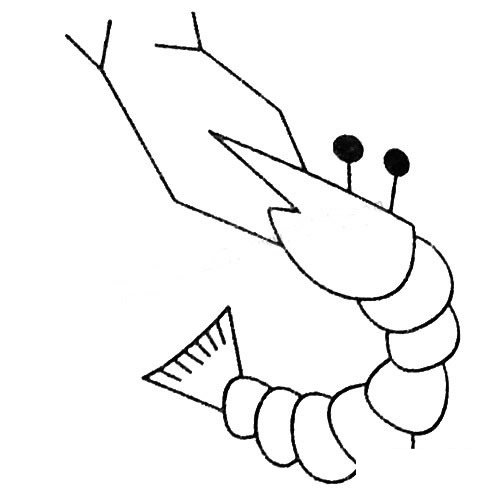 虾的简笔画图片大全及画法步骤