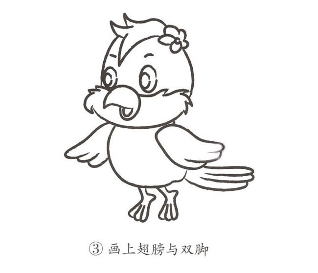 可爱的卡通鹦鹉简笔画步骤图片