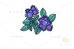 藿香蓟简笔画怎么画