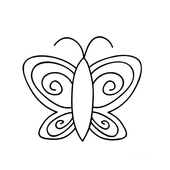 蝴蝶简易画法斑纹蝴蝶