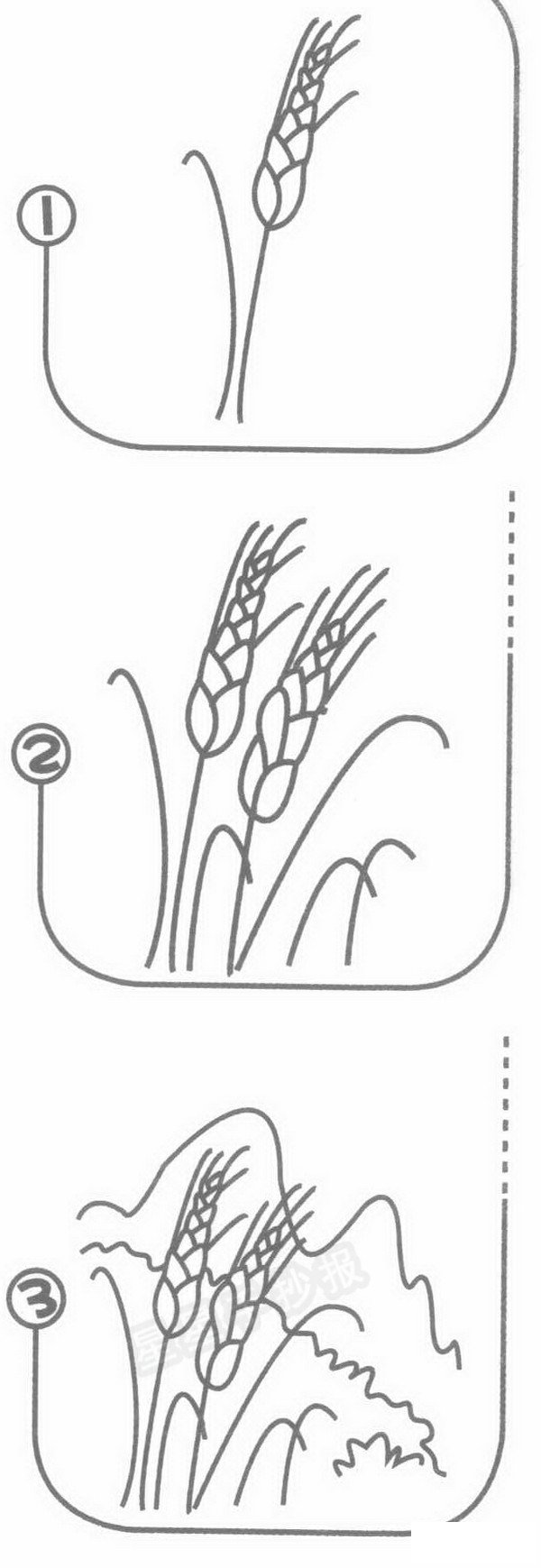 麦田简笔画
