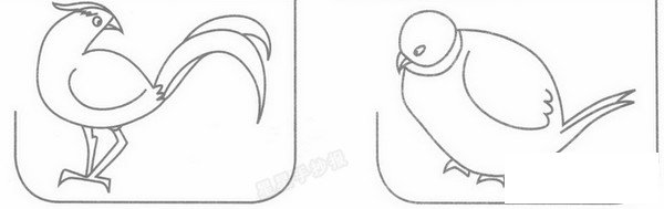 野鸡简笔画