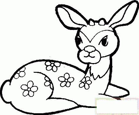 梅花鹿向前看简笔画