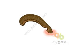 儿童简单画 昆虫简笔画图片大全集